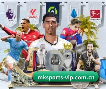 mk体育 APP